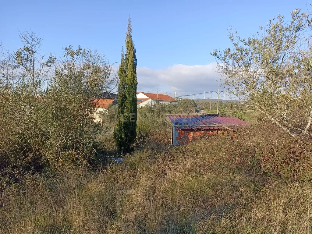 Casa antiga em pedra mais terreno excelente negocio - Image 18