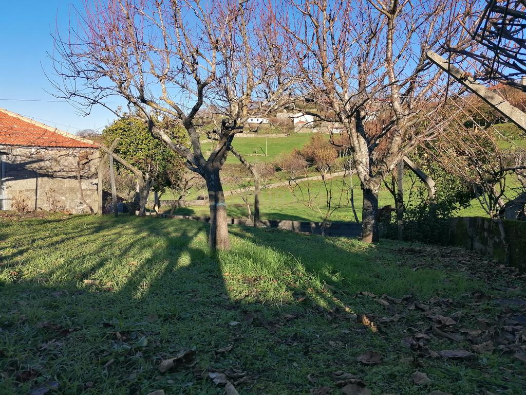 CASA RÚSTICA EM PEDRA I FELGUEIRAS (RESENDE) - Image 9