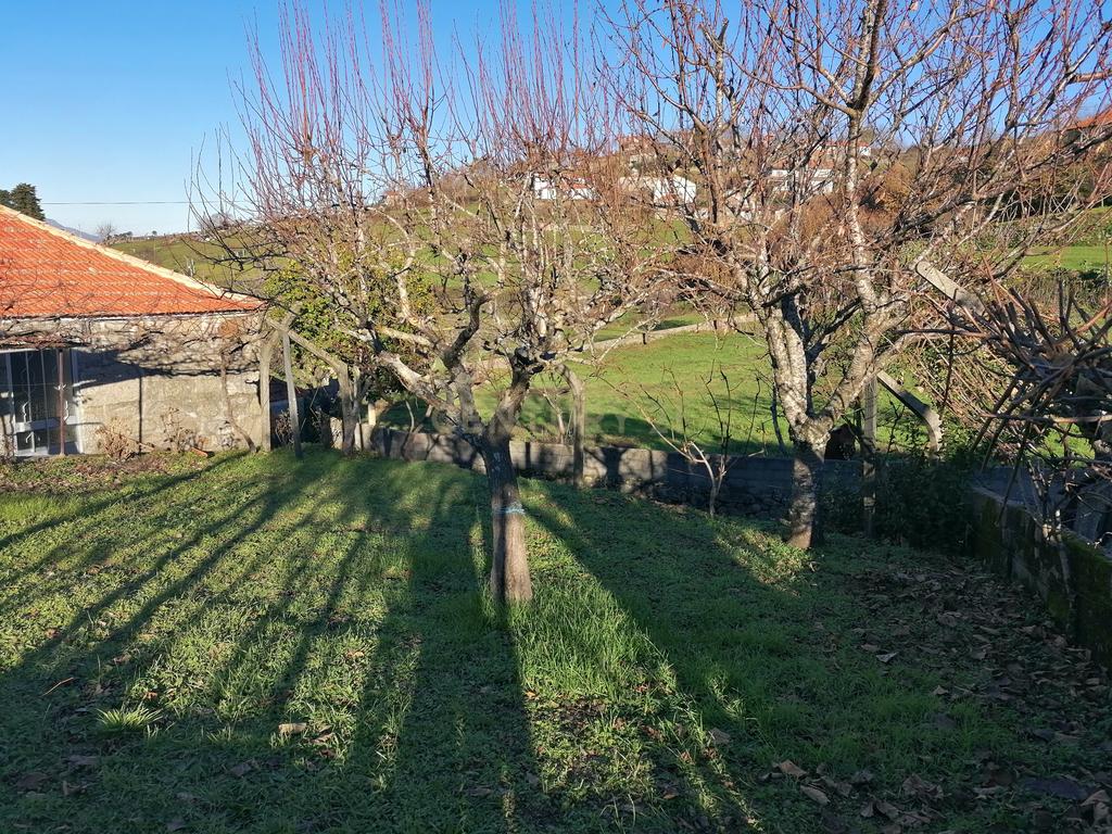CASA RÚSTICA EM PEDRA I FELGUEIRAS (RESENDE) - Image 63