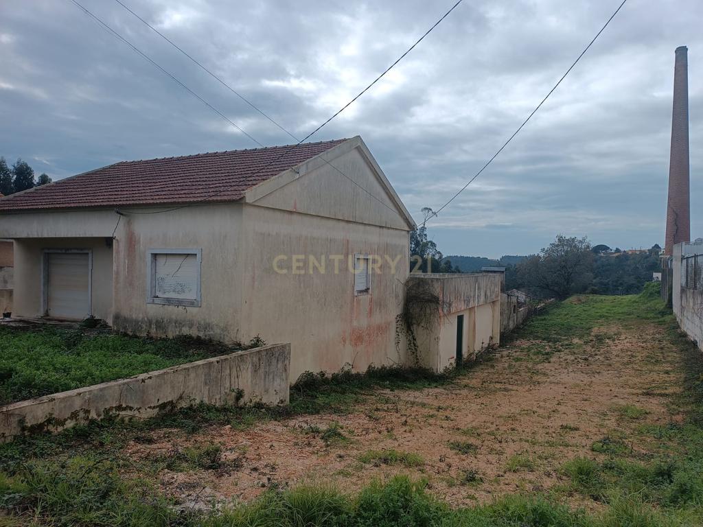 Moradia 3 quartos com armazém, num lote de terreno de 8140m2 - Benedita, Leiria - Image 4