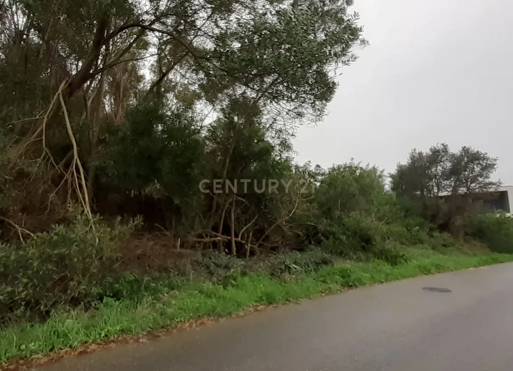 Terreno para construção - Image 7