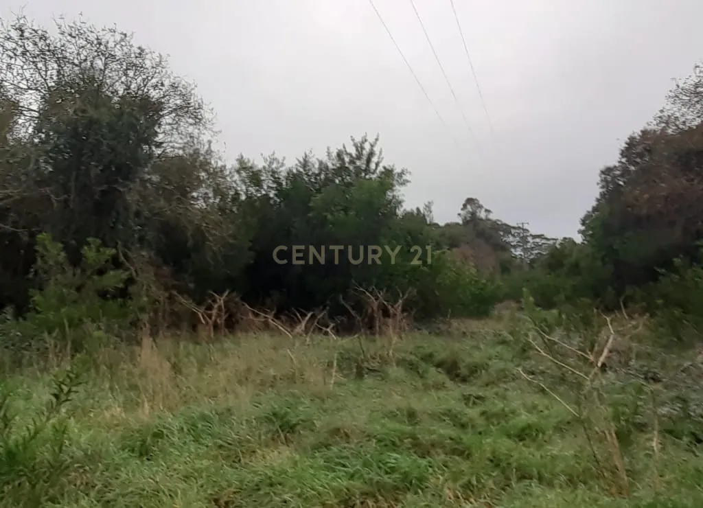 Terreno para construção - Image 16