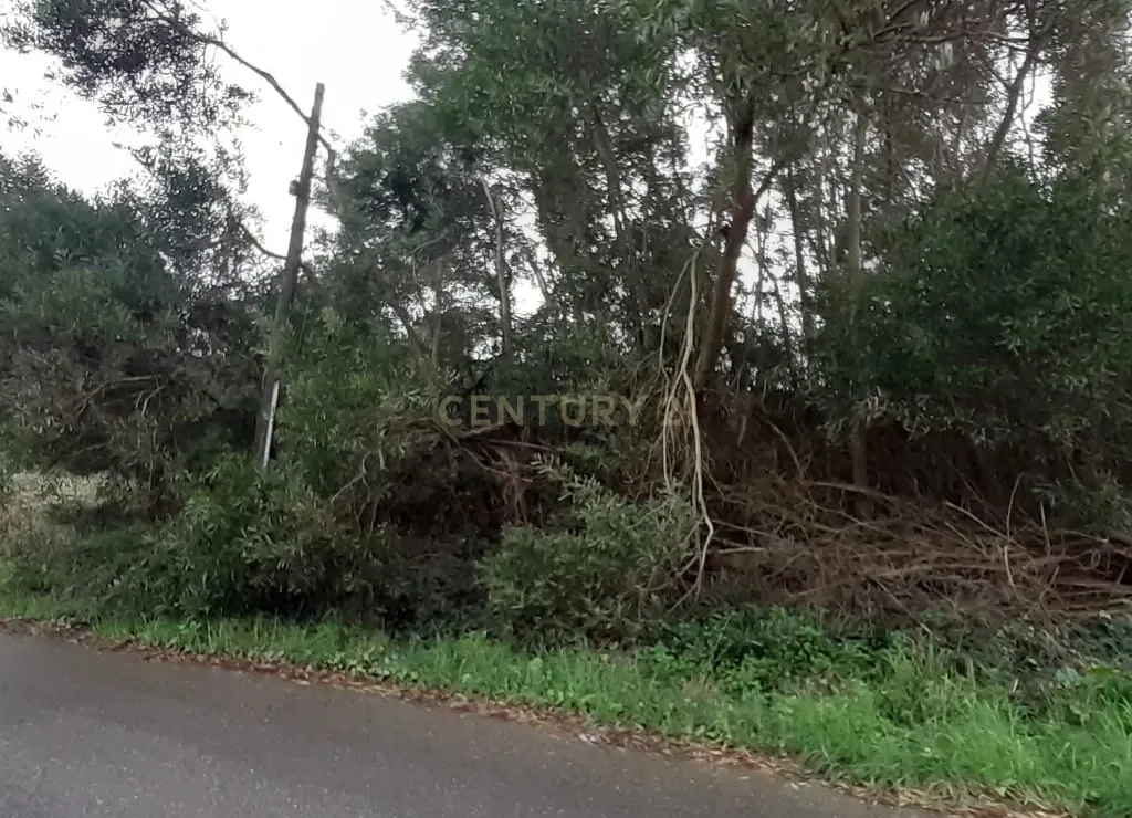 Terreno para construção - Image 17