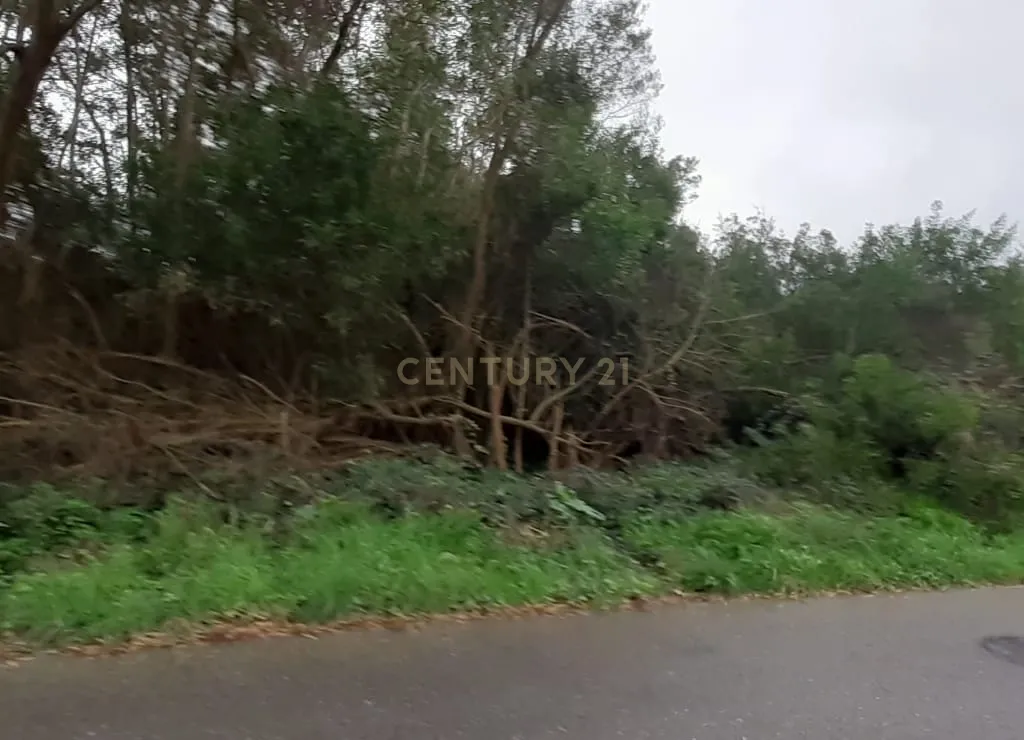 Terreno para construção - Image 15
