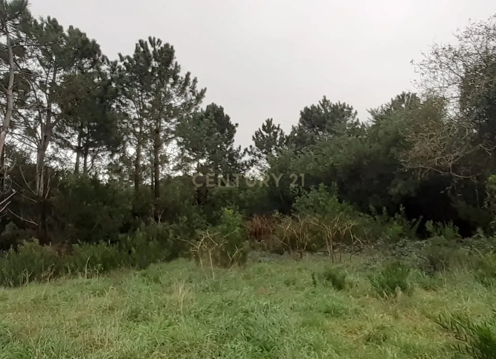 Terreno para construção - Image 12