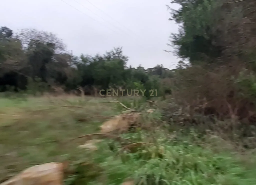 Terreno para construção - Image 9