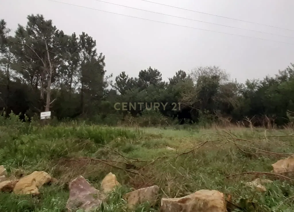 Terreno para construção - Image 10