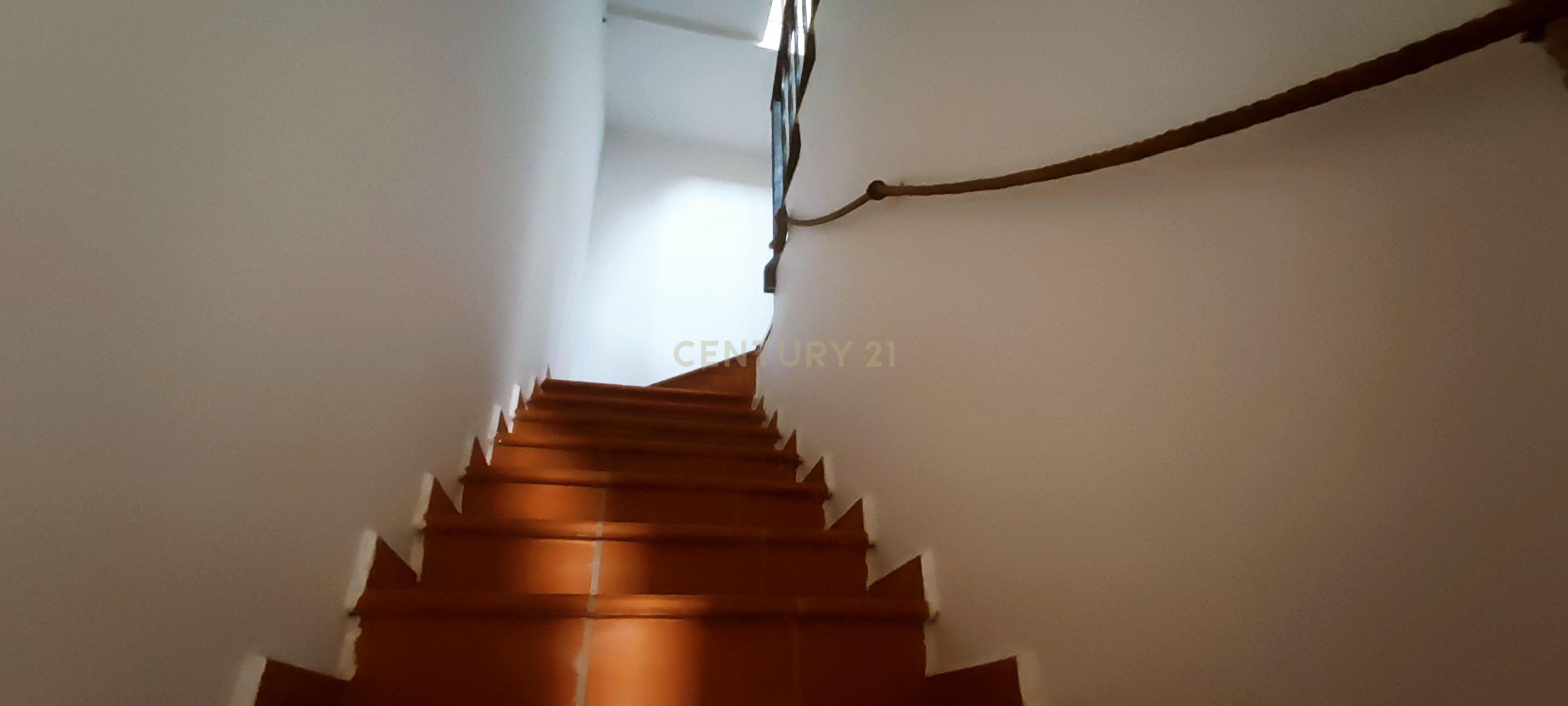undefined - Image 12
