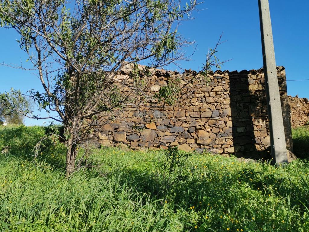 Terreno urbano no Sitio do Vale Rosado - Conceição de Tavira - Image 3