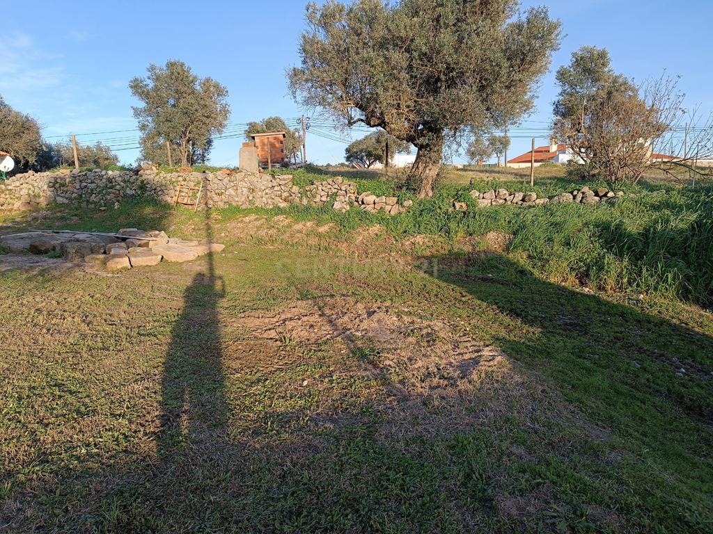 Terreno com Moradia Rústica totalmente remodelada, Idanha-a-Nova - Image 14