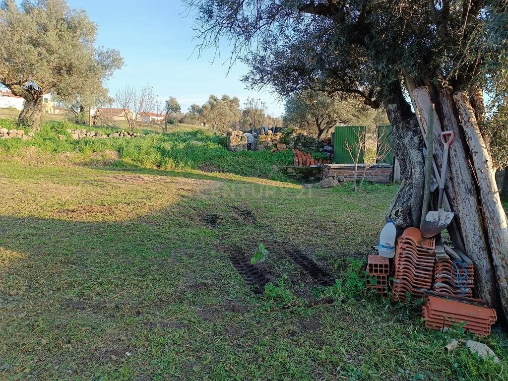 Terreno com Moradia Rústica totalmente remodelada, Idanha-a-Nova - Image 15