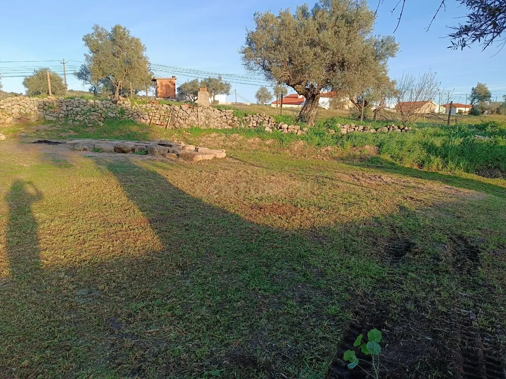 Terreno com Moradia Rústica totalmente remodelada, Idanha-a-Nova - Image 4