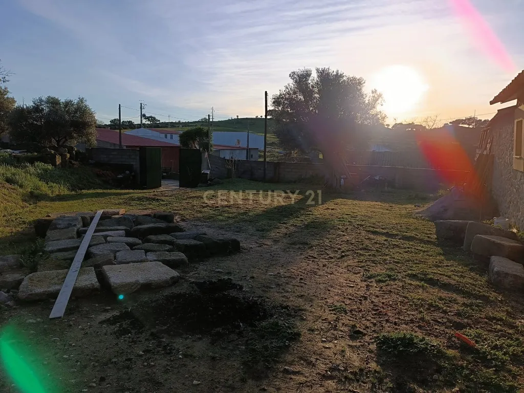 Terreno com Moradia Rústica totalmente remodelada, Idanha-a-Nova - Image 17