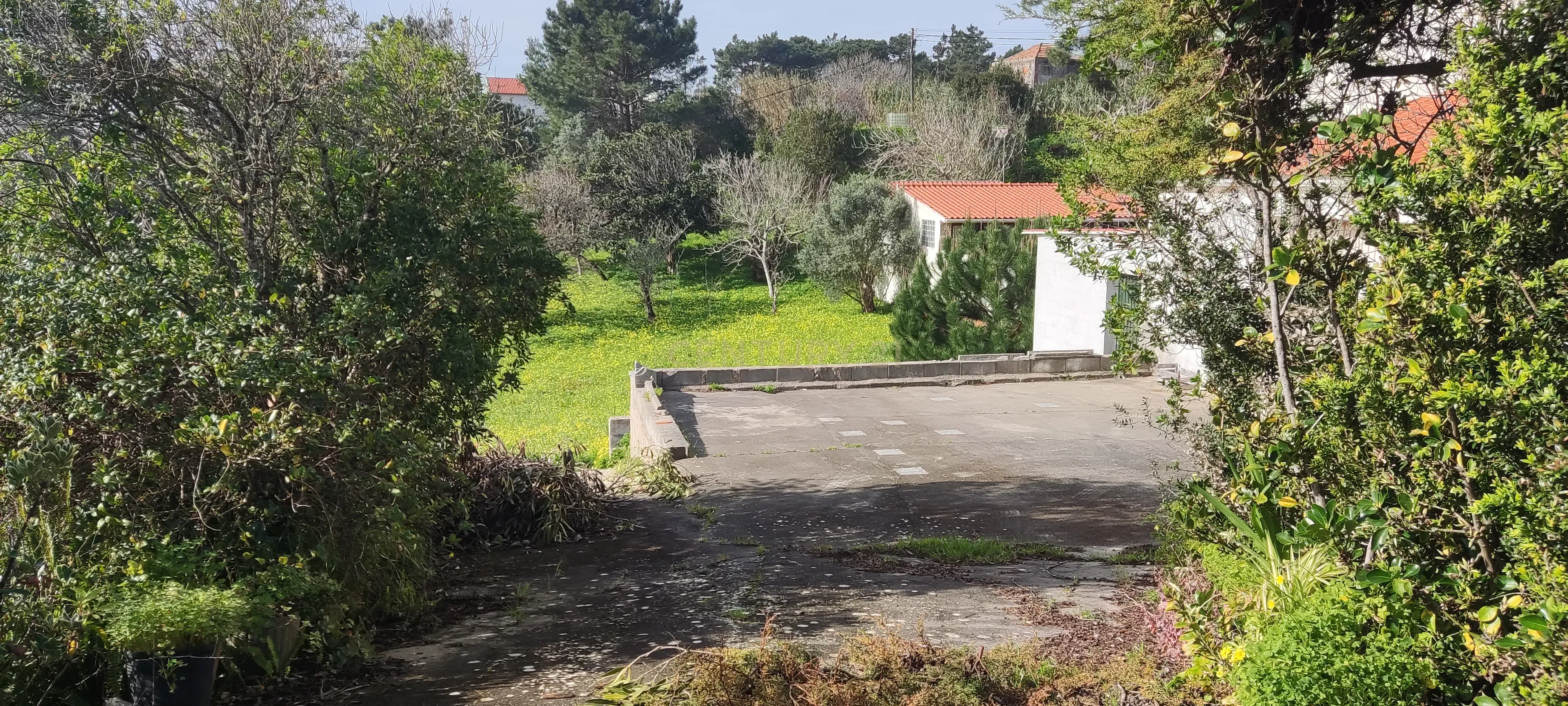 Terreno misto com viabilidade construtiva até 500m2 - Buarcos, Figueira da Foz - Image 3