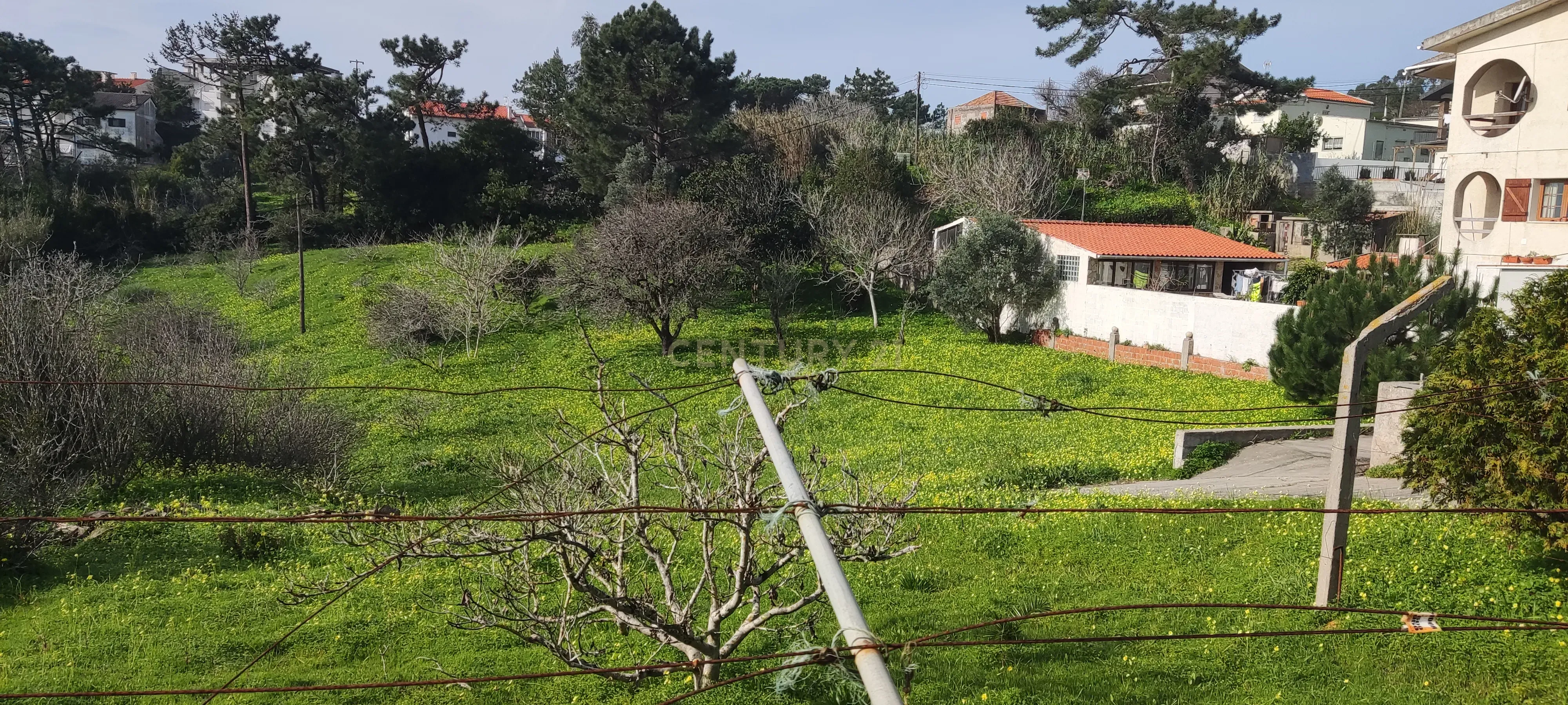 Terreno misto com viabilidade construtiva até 500m2 - Buarcos, Figueira da Foz - Image 9