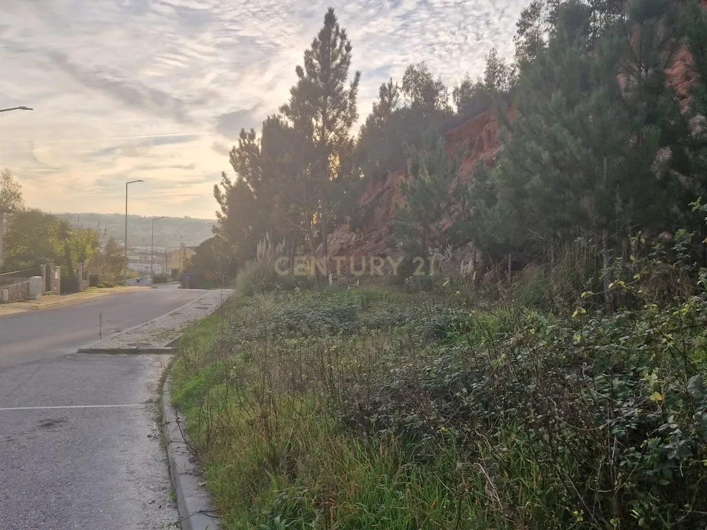 Excelente lote para construção II Governos II Pombal - Image 8