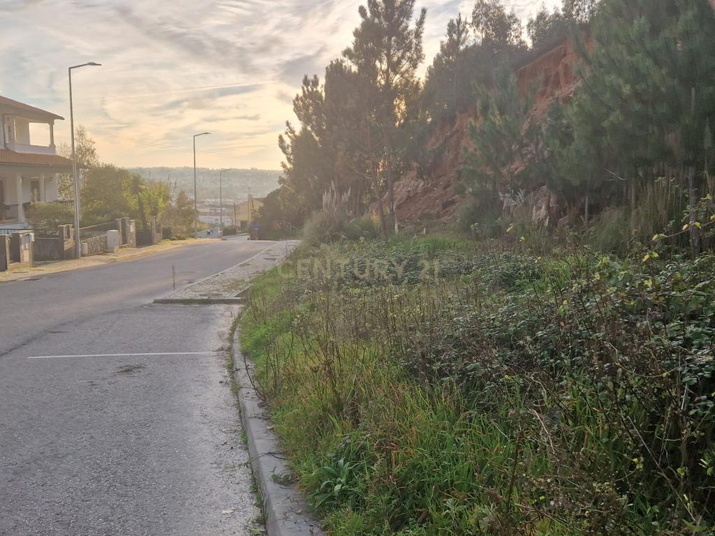 Excelente lote para construção II Governos II Pombal - Image 5