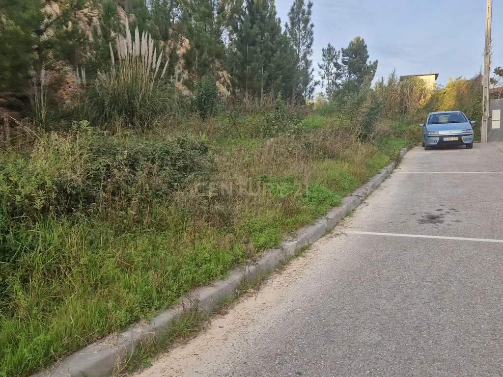 Excelente lote para construção II Governos II Pombal - Image 6