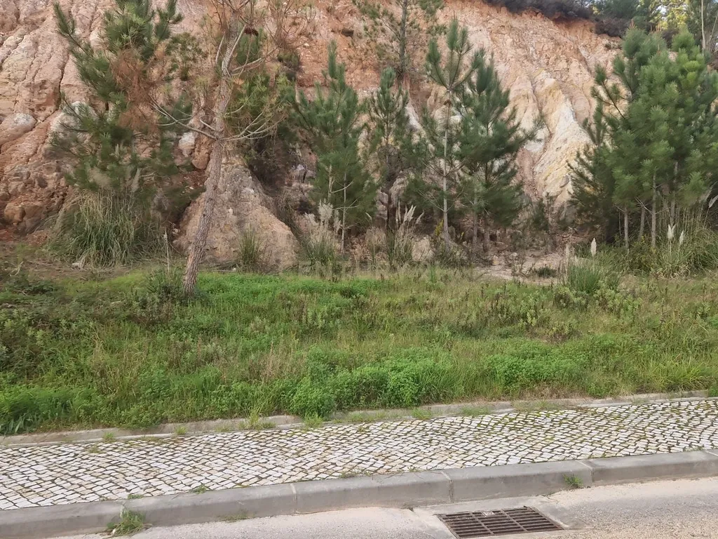 Excelente lote para construção II Governos II Pombal - Image 10