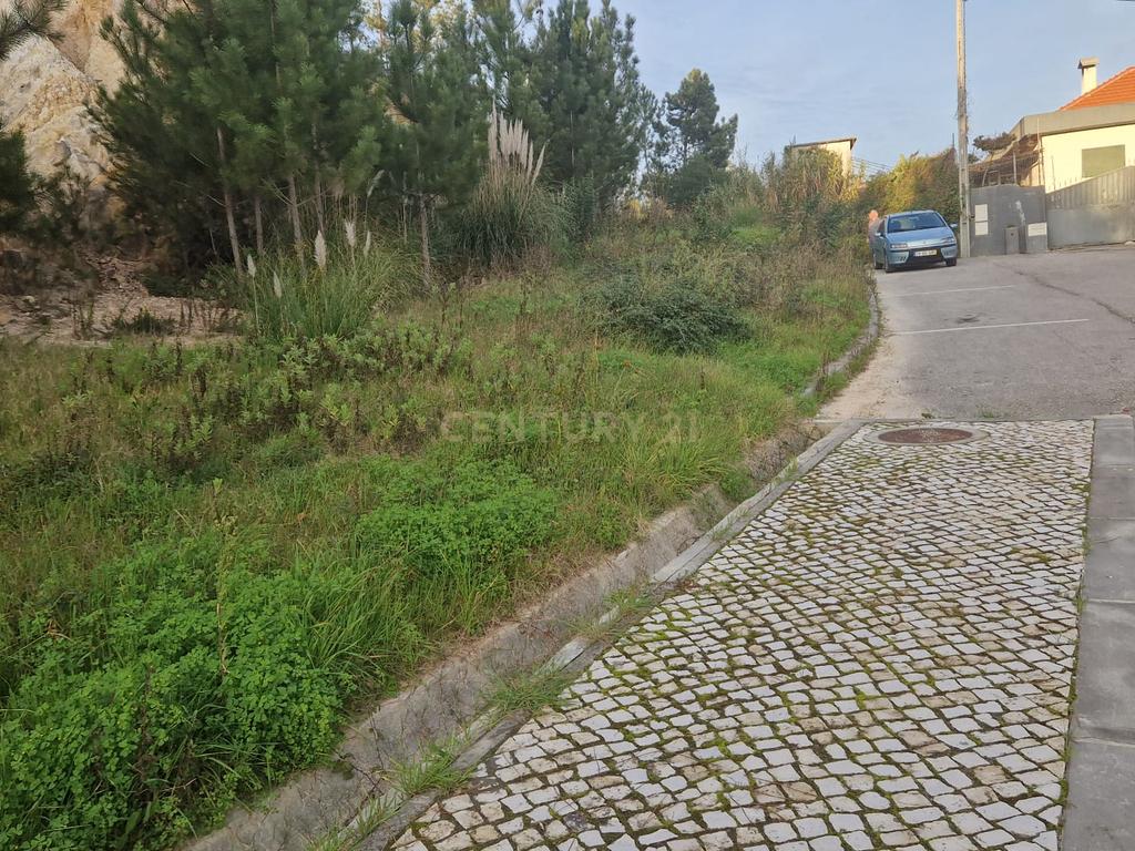 Excelente lote para construção II Governos II Pombal - Image 12