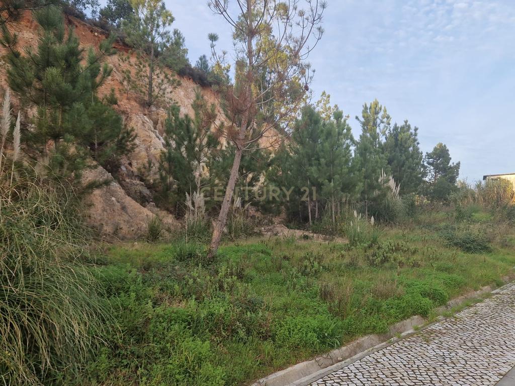 Excelente lote para construção II Governos II Pombal - Image 14