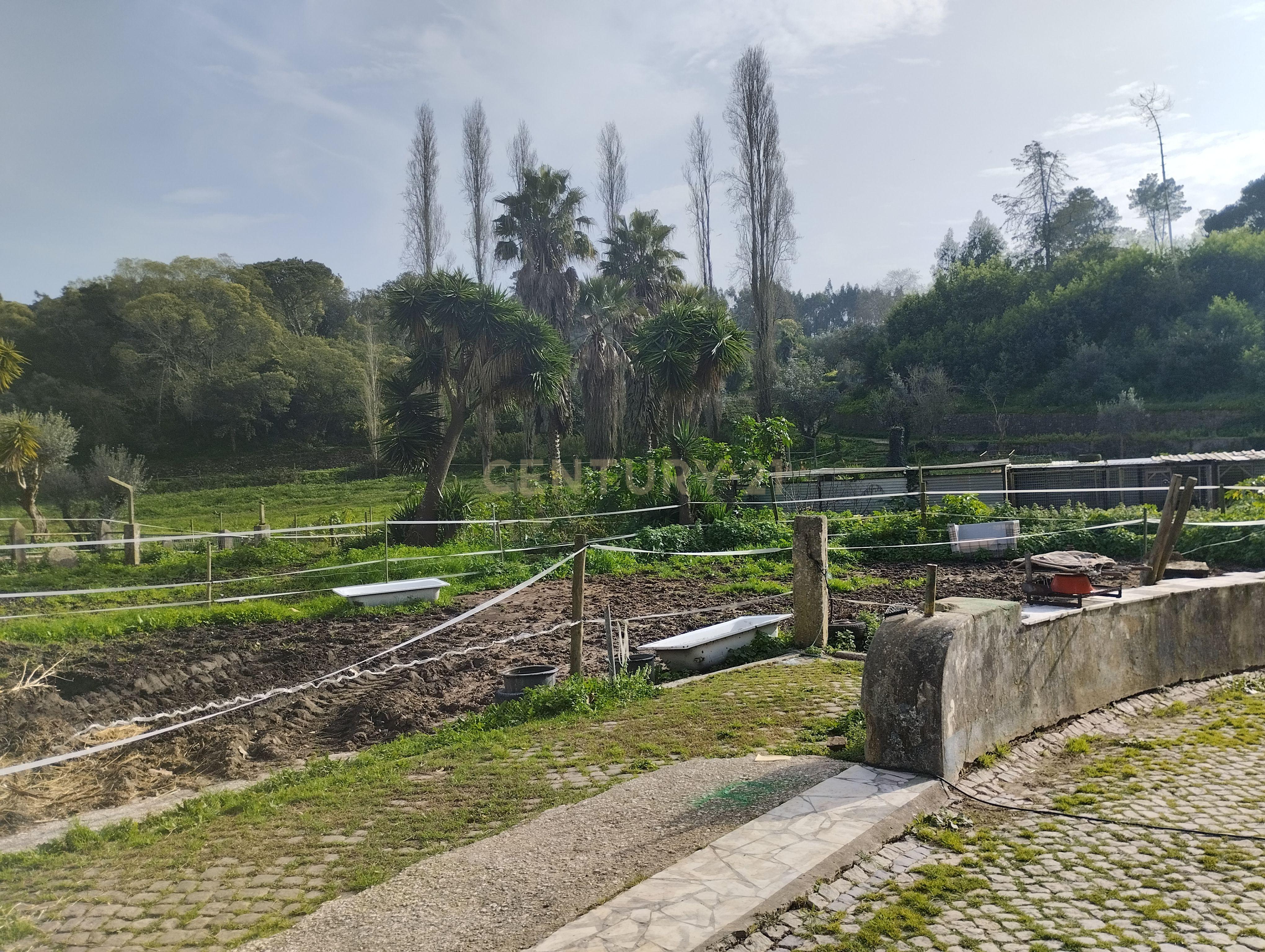 Quinta do Paraíso, Sintra. Aeroporto de Cascais a 25 minutos. - Image 7