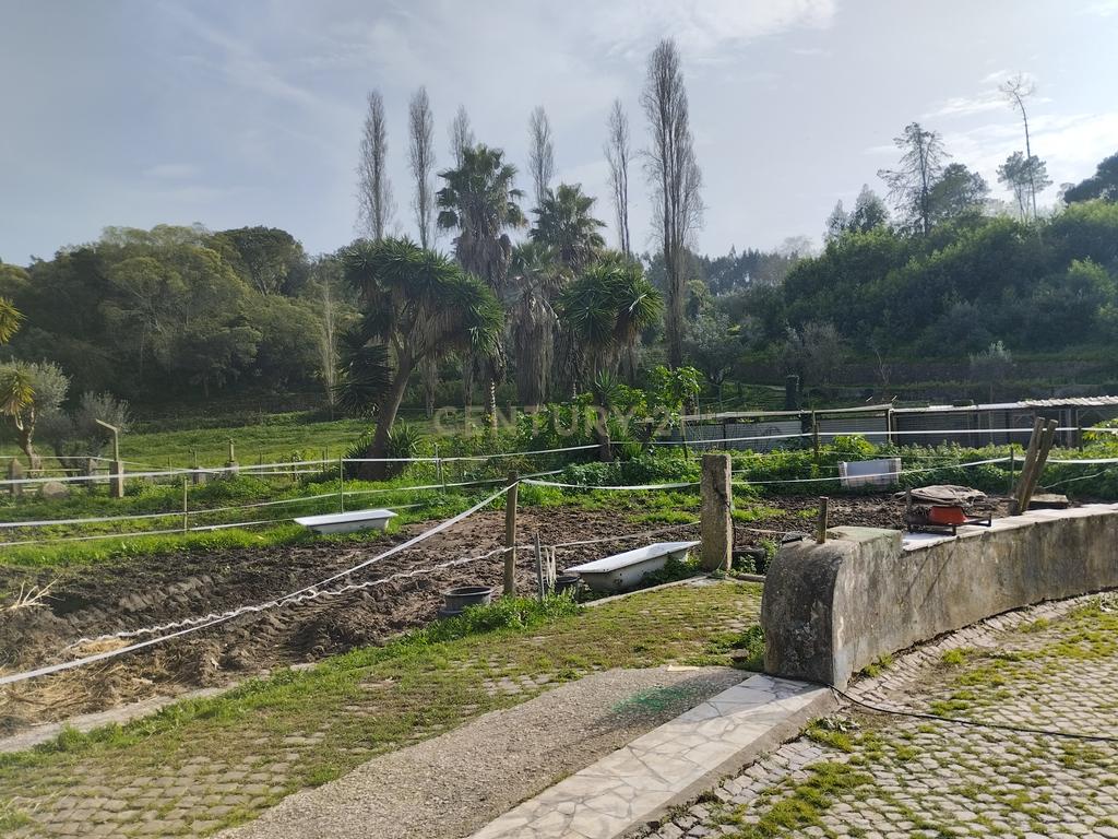Quinta situada em Sintra, com um generoso terreno de 98.200 m². Localização privilegiada, a apenas 25 minutos de Cascais - Image 6