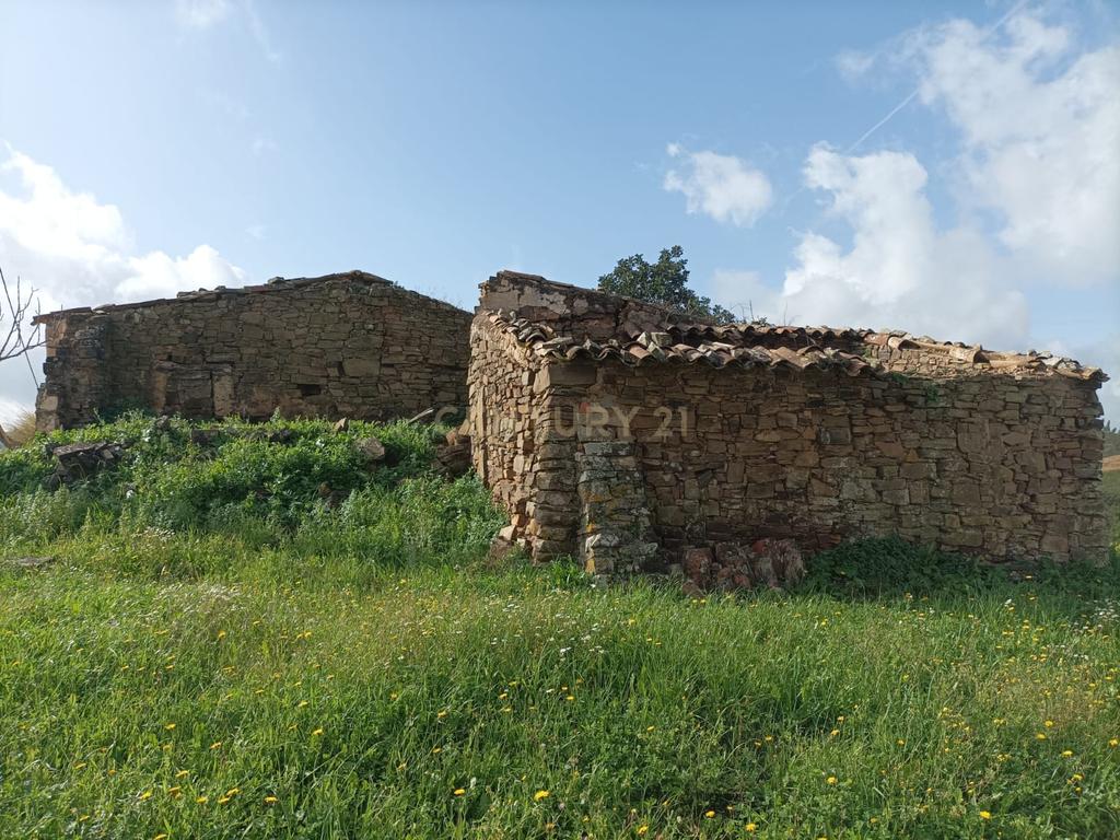 Terreno de 2.3 HA com casa antiga de 127 m2 para reconstrução, S.B. Messines, Silves - Image 17