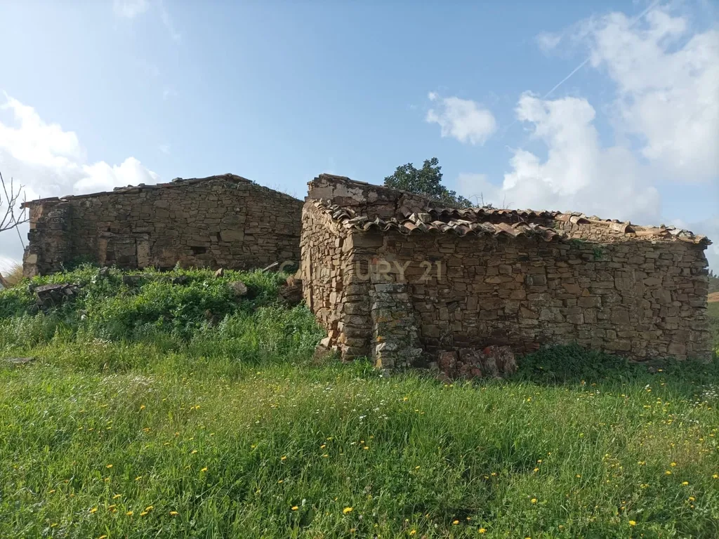 Terreno de 2.3 HA com casa antiga de 127 m2 para reconstrução, S.B. Messines, Silves - Image 17