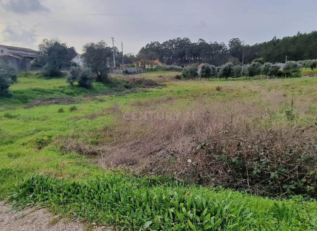 Terreno para construção á venda - Albergaria dos doze - Image 2