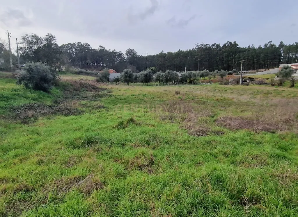 Terreno para construção á venda - Albergaria dos doze - Image 3