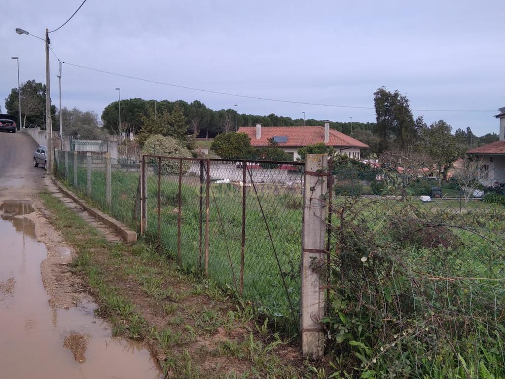 Terreno urbano c/ 5100m2 | Abrantes. - Image 1