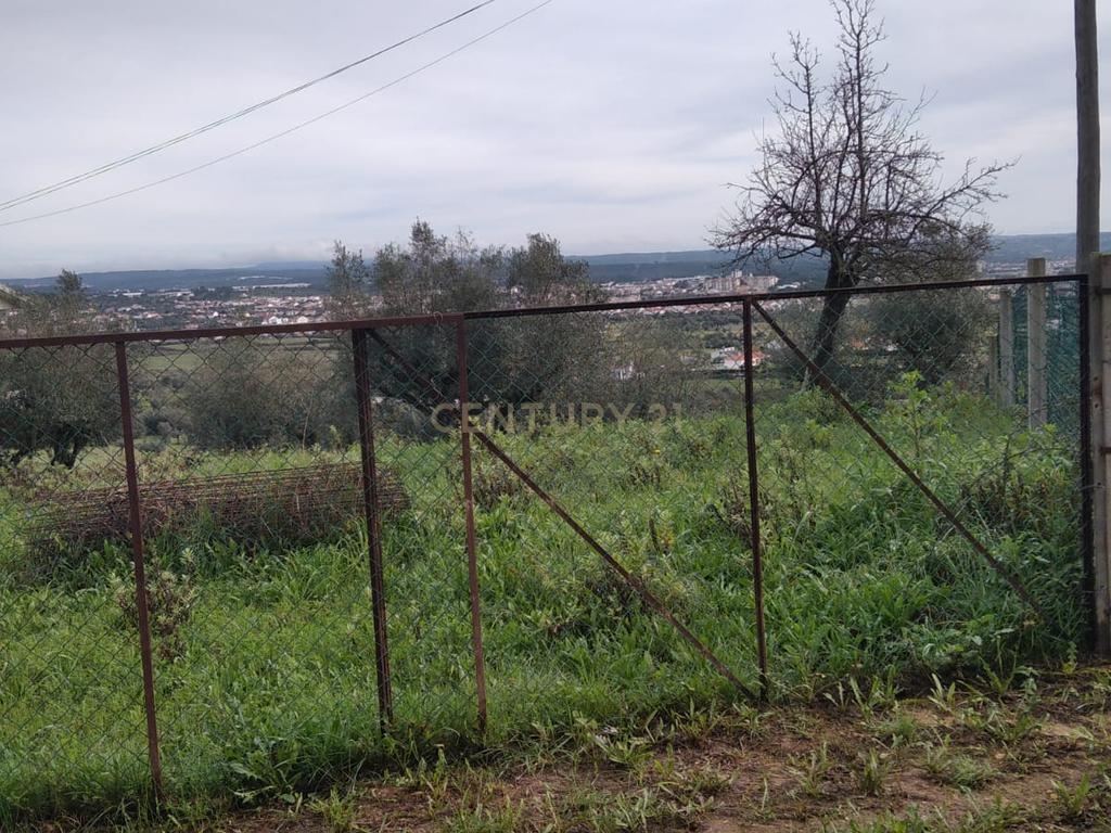 Terreno urbano c/ 5100m2 | Abrantes. - Image 3