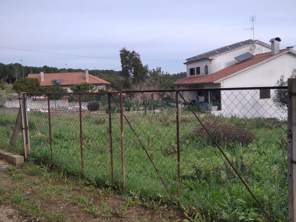 Terreno urbano c/ 5100m2 | Abrantes. - Image 2