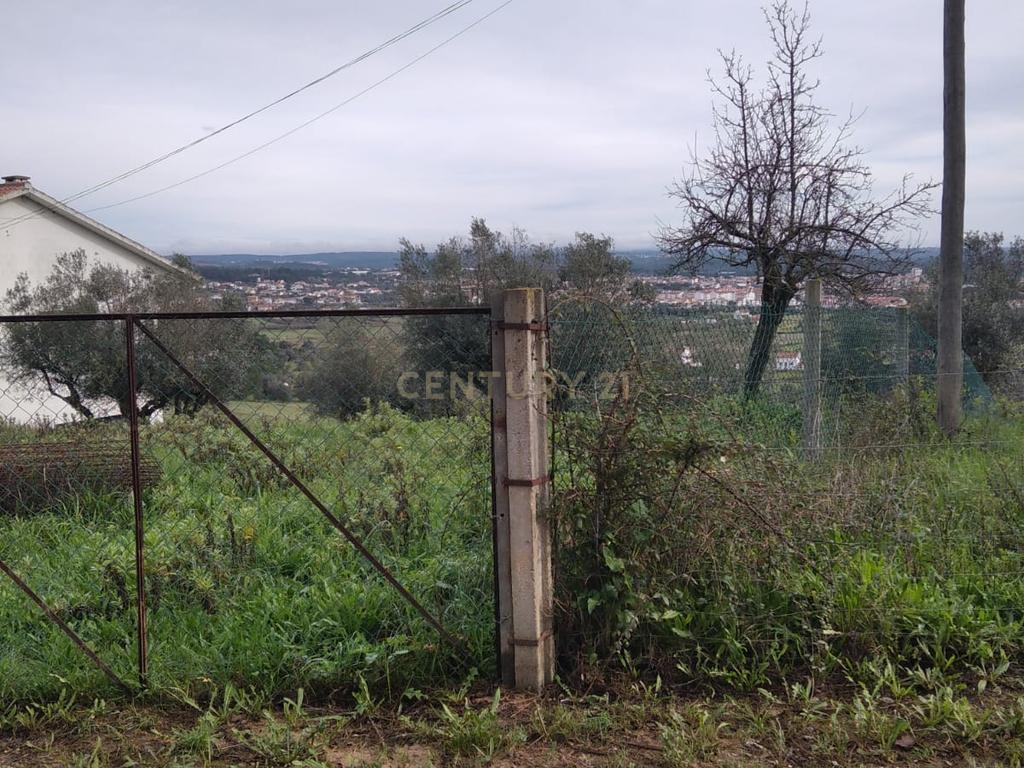 Terreno urbano c/ 5100m2 | Abrantes. - Image 4