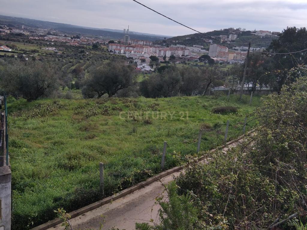 Terreno urbano c/ 5100m2 | Abrantes. - Image 6