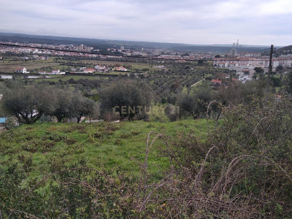 Terreno urbano c/ 5100m2 | Abrantes. - Image 7