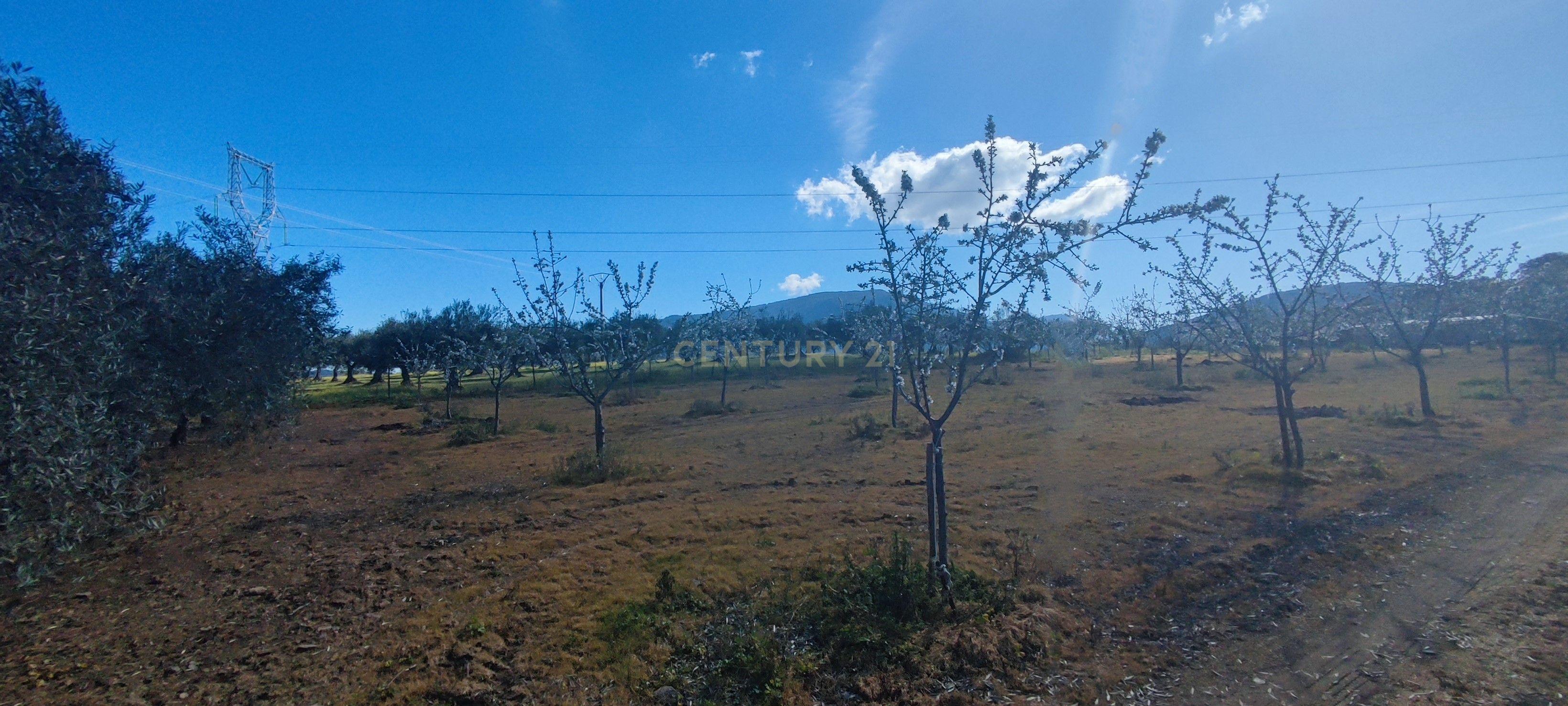 undefined - Image 33
