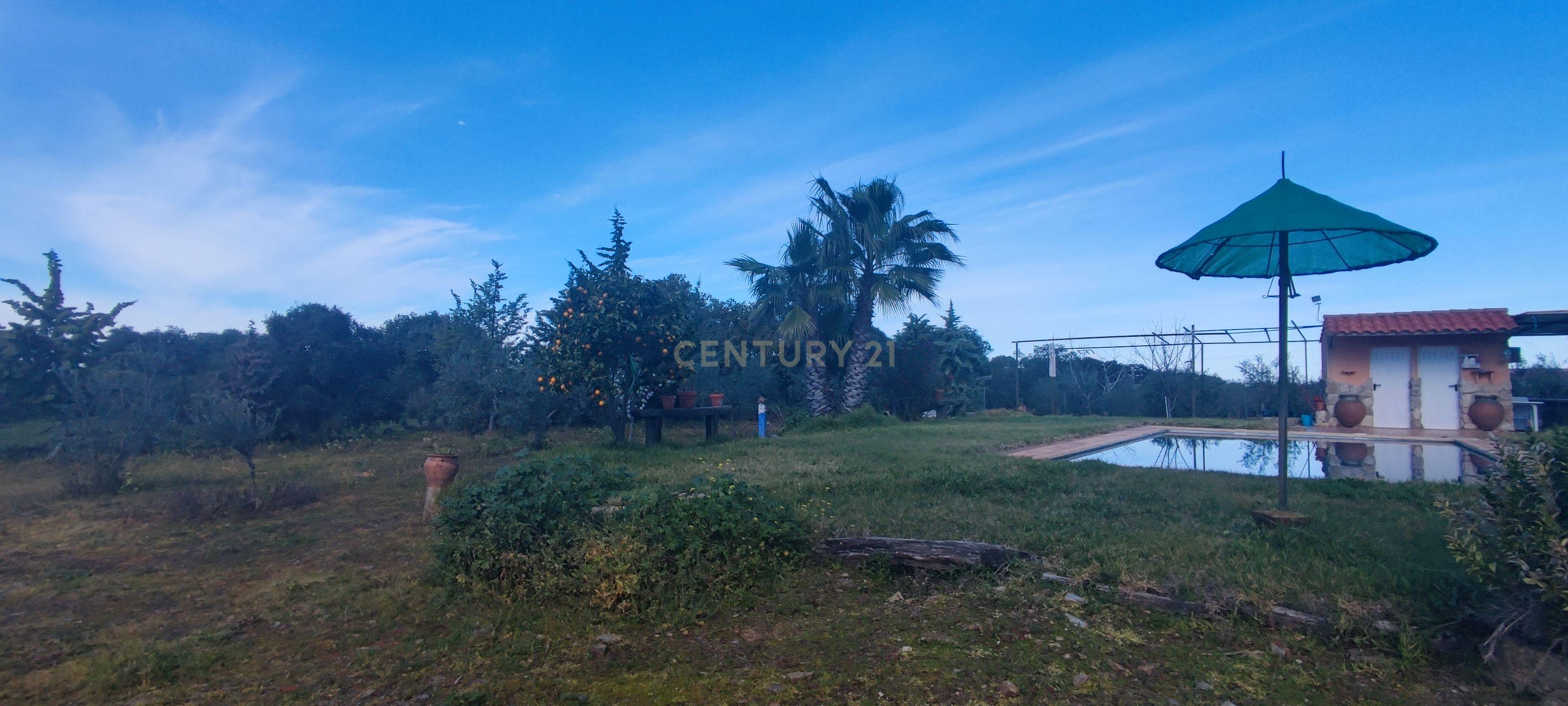 undefined - Image 45