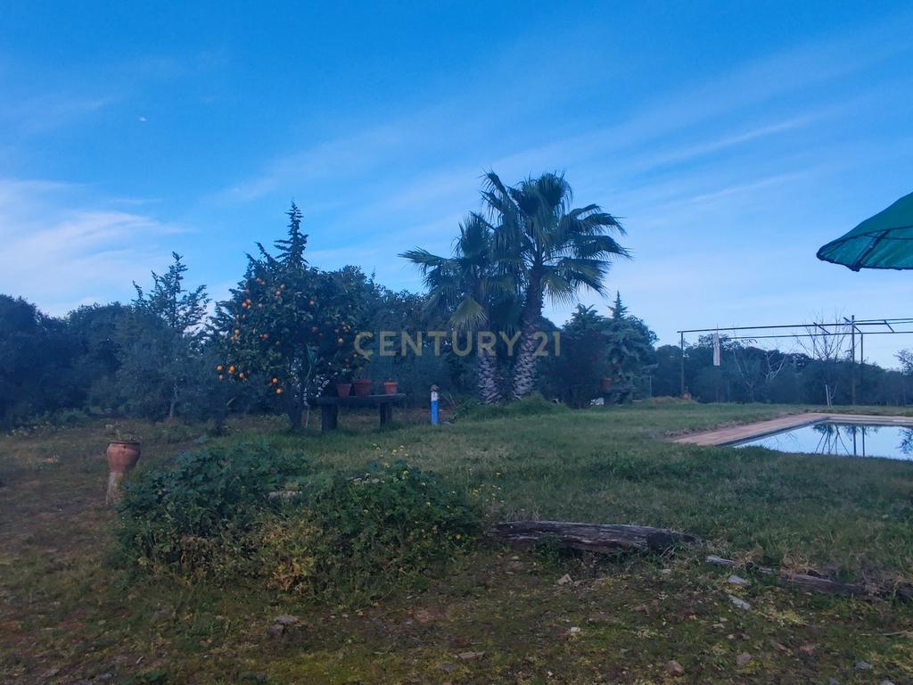 undefined - Image 45