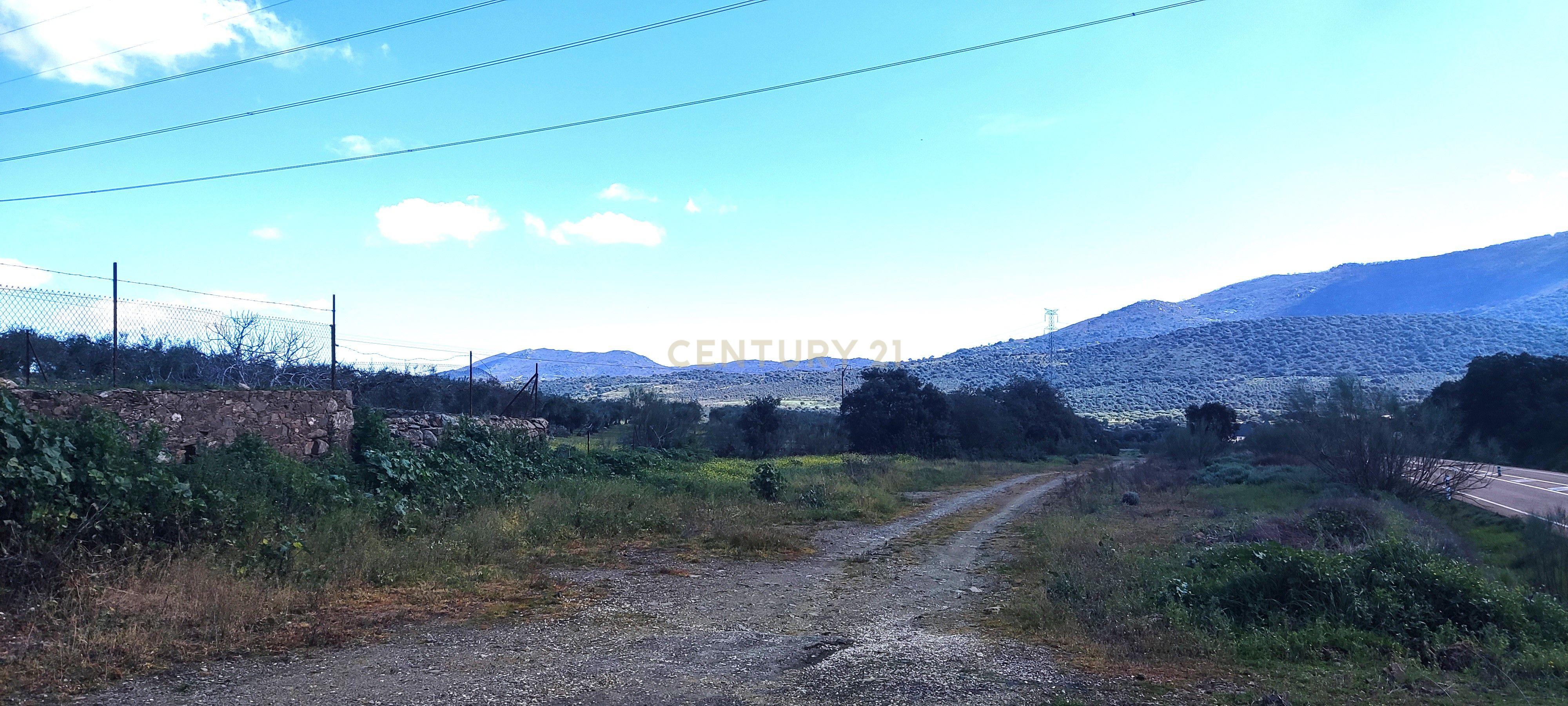 undefined - Image 55