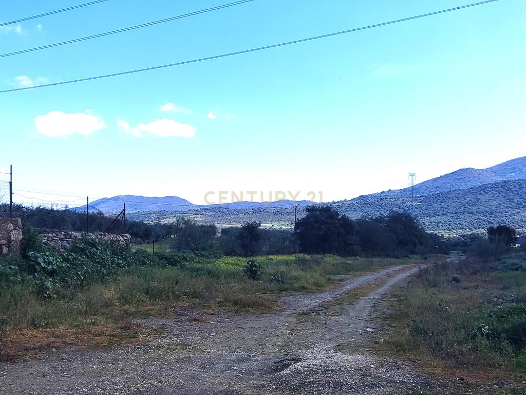 undefined - Image 55