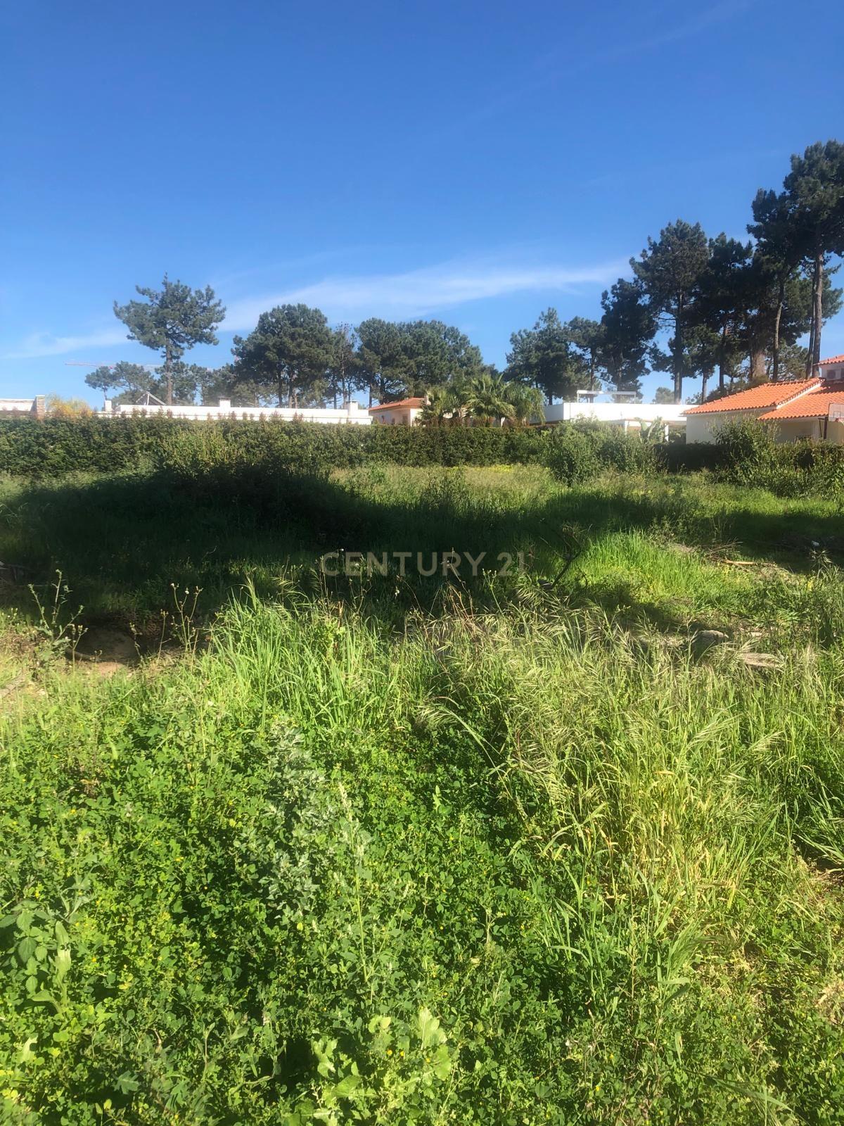 Terreno para venda na Herdade da Aroeira! - Image 4