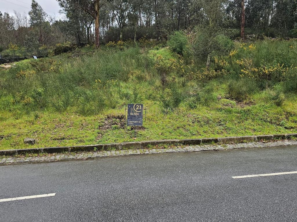 Terreno com viabilidade de construção - Image 3