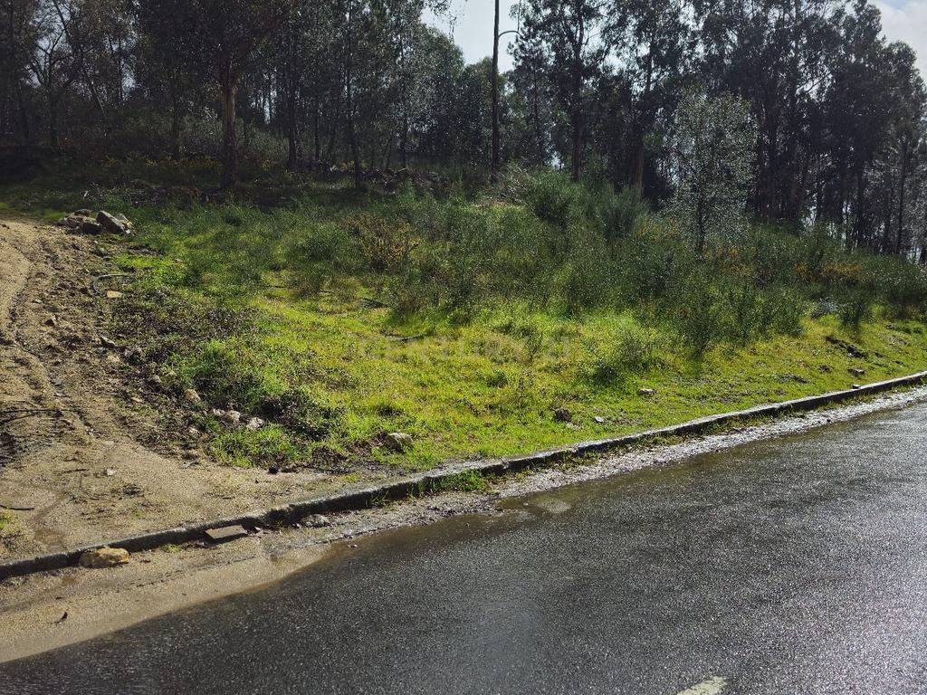 Terreno com viabilidade de construção - Image 4