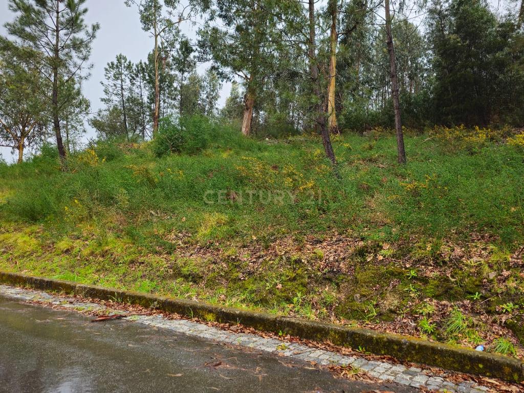 Terreno com viabilidade de construção - Image 7