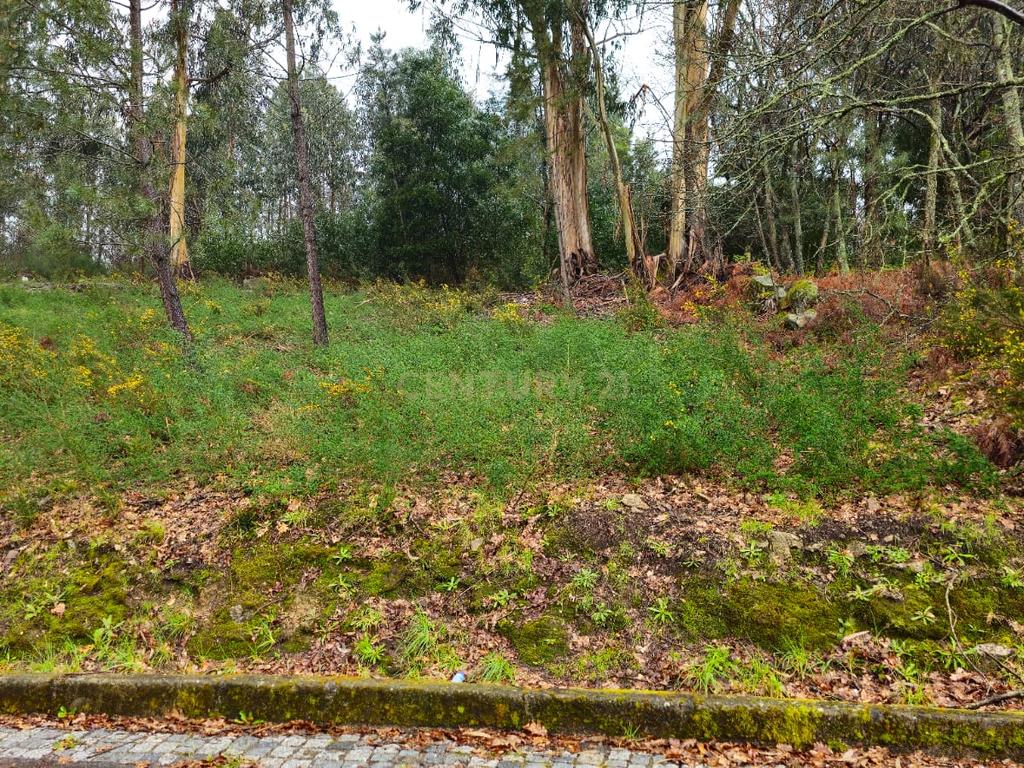 Terreno com viabilidade de construção - Image 6