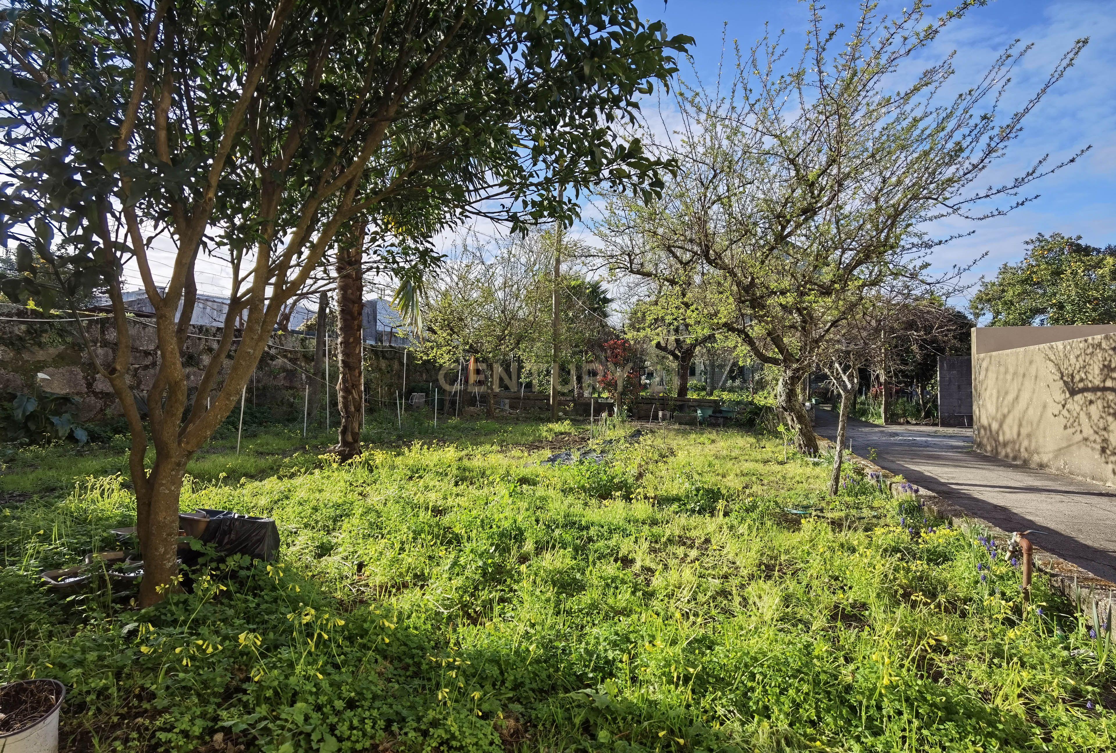 Terreno com Moradia I Reabilitação ou Construção Nova I Antas - Image 16