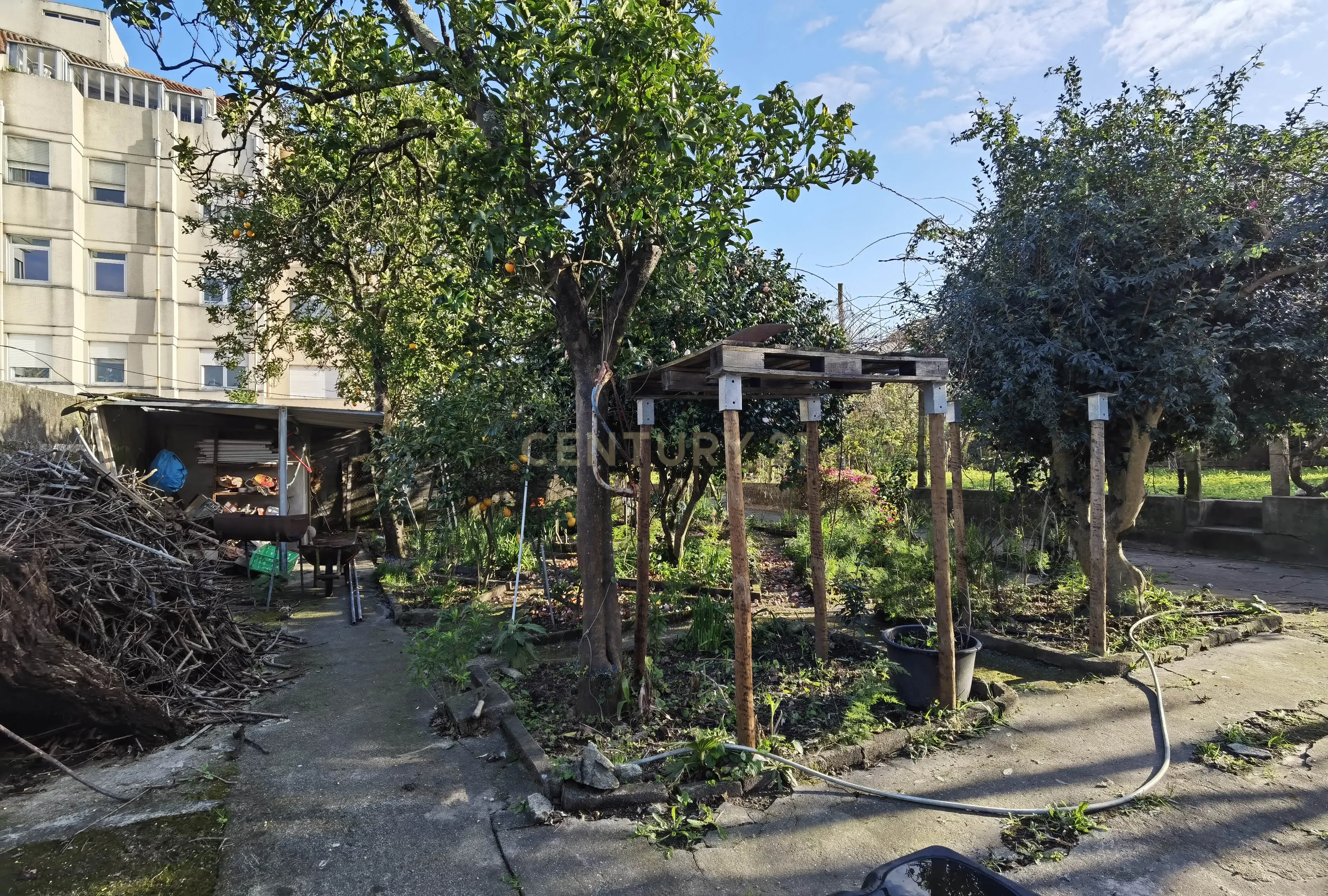 Terreno com Moradia I Reabilitação ou Construção Nova I Antas - Image 20