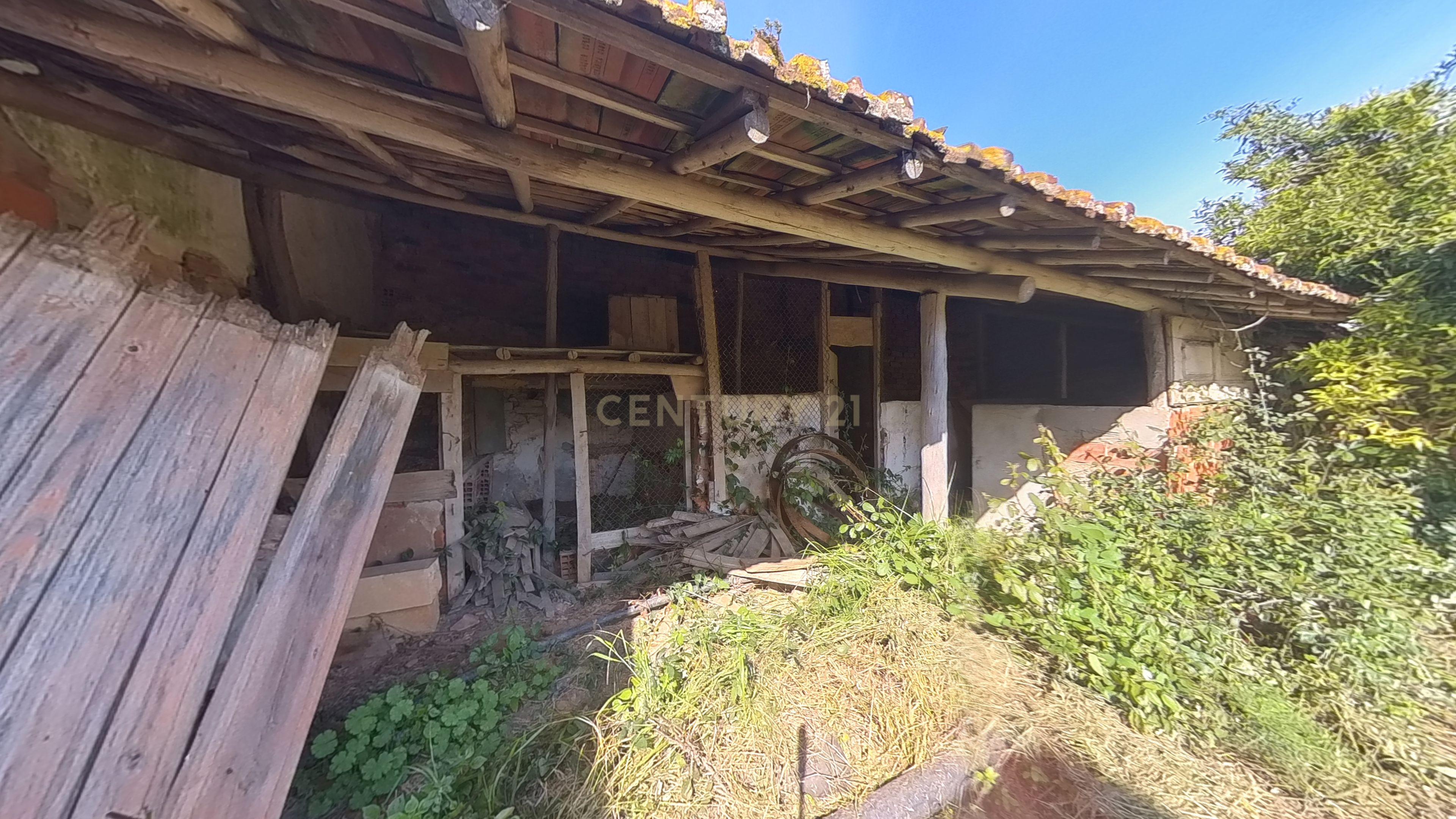 Moradia T3 com Adega e garagens no Vilar - Image 62